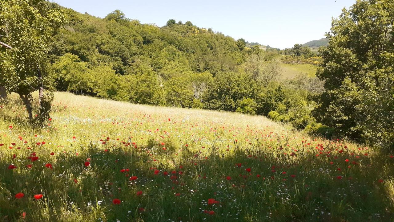 Agriturismo Marcofrate, A Retreat In The Nature Valtopina ภายนอก รูปภาพ